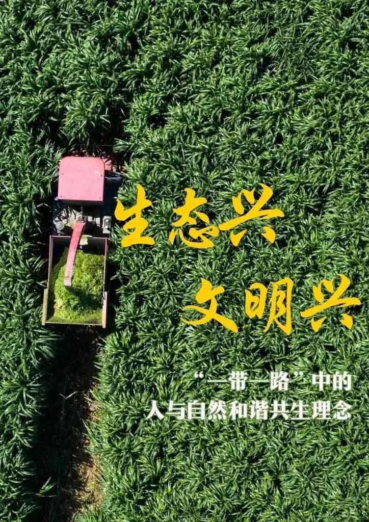 “一帶一路”高峰論壇丨生態(tài)興 文明興，“這是一條綠色可持續(xù)發(fā)展之路”