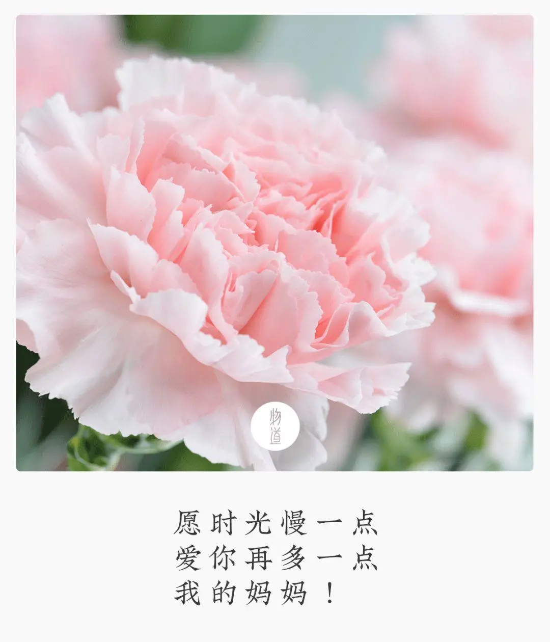 MVR蒸發(fā)系統(tǒng)