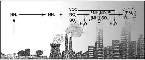 MVR蒸發(fā)系統(tǒng)